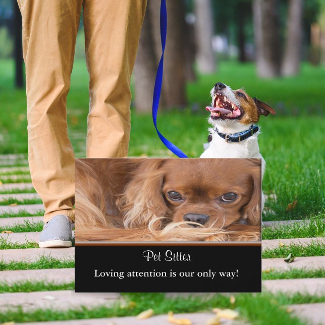 Carte De Visite Garde de chiens Ruby Cavalier King Charles Spaniel (Charming pet sitting business card - warmth, trust, and cuteness unleashed!)