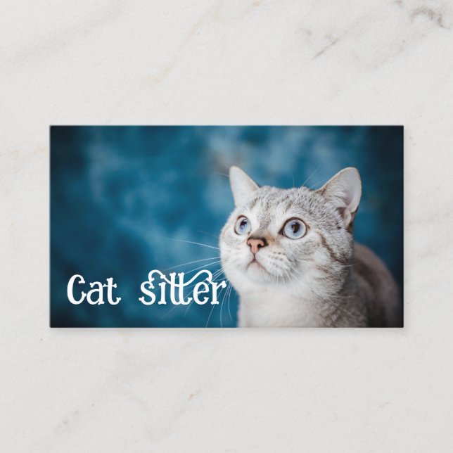Carte De Visite gardien de chats (Devant)