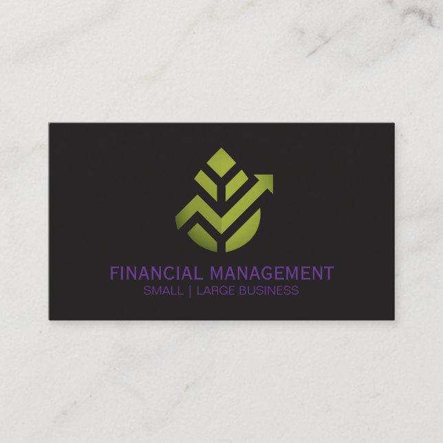 Carte De Visite Geometric Leaf Finance Logo (Devant)