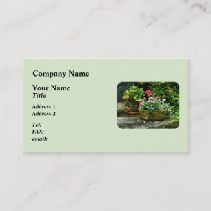 Carte De Visite Géraniums et fleurs de lavande sur des marches de