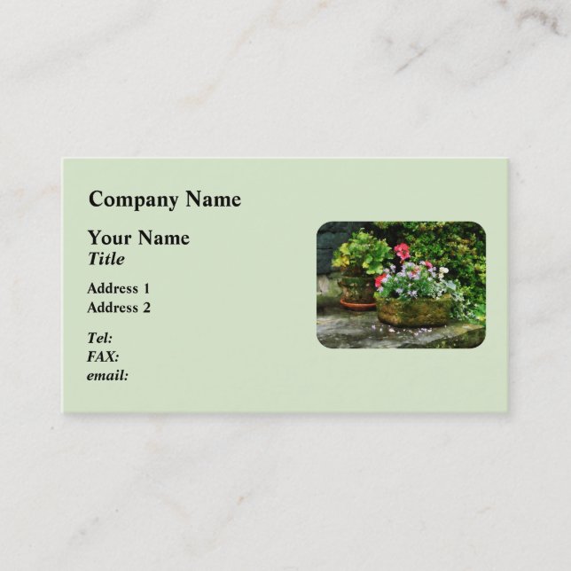 Carte De Visite Géraniums et fleurs de lavande sur des marches de  (Devant)