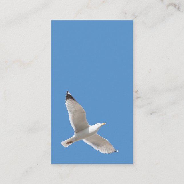 Carte De Visite Goéland volant (Devant)