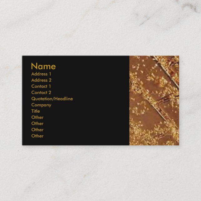 Carte de visite Gold Bars (Devant)