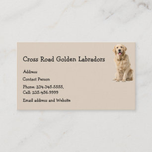 Carte De Visite Golden Labrador Chien animal animal animal animal