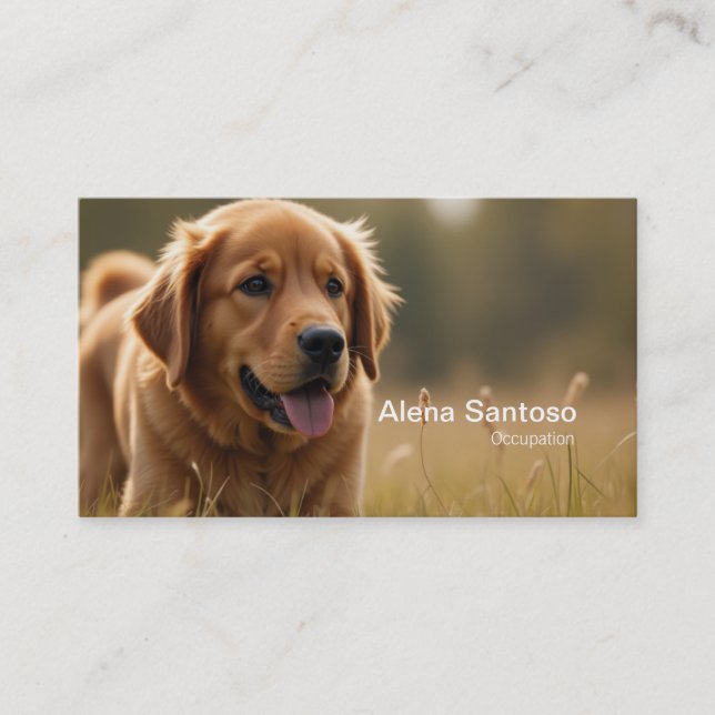 Carte De Visite Golden Retriever Chien (Devant)