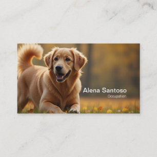Carte De Visite Golden Retriever Chien