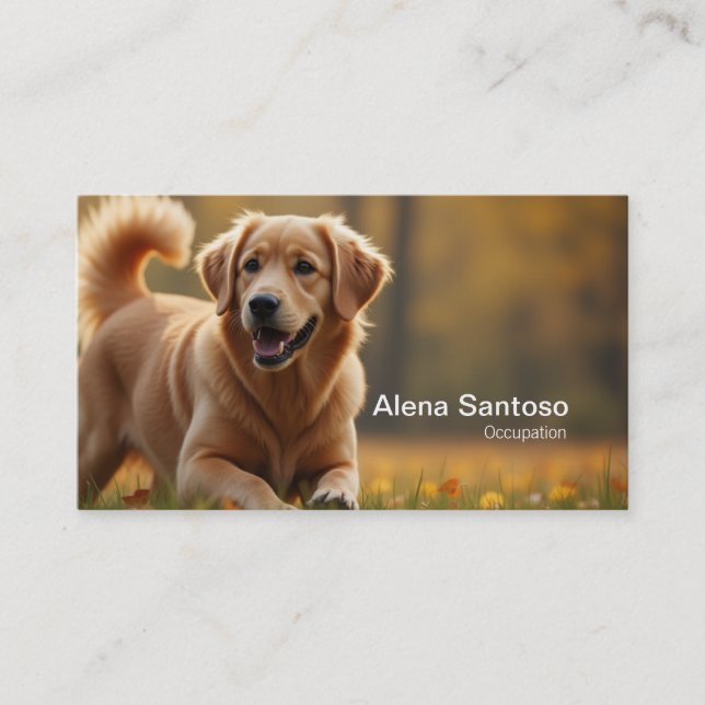 Carte De Visite Golden Retriever Chien (Devant)