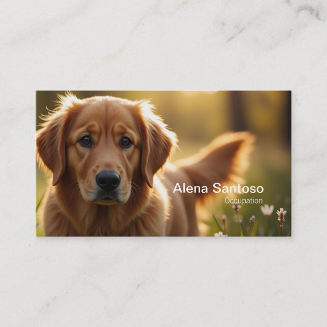 Carte De Visite Golden Retriever Chien (Devant)