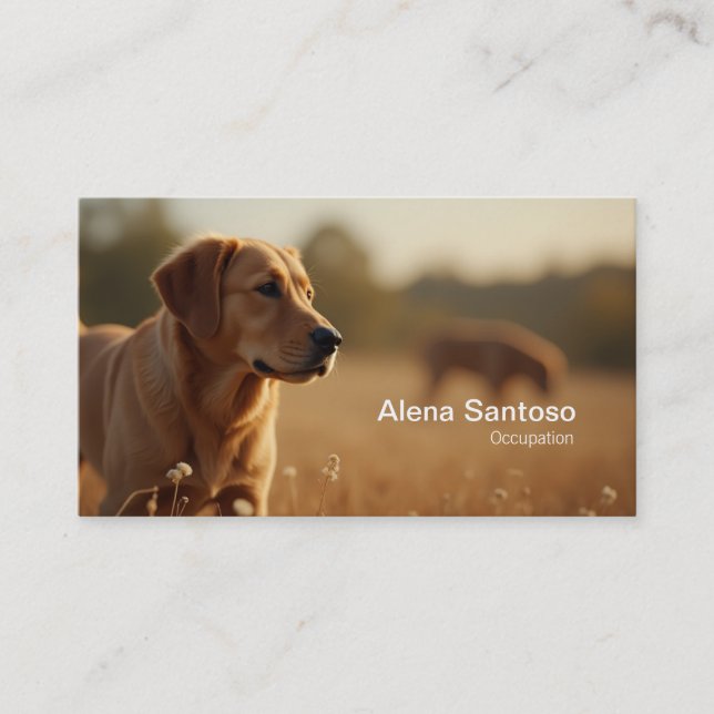 Carte De Visite Golden Retriever Chien (Devant)