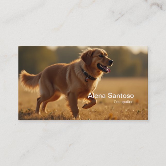 Carte De Visite Golden Retriever Chien (Devant)