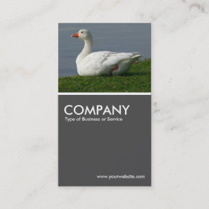 Carte De Visite Goose Gris 70pc