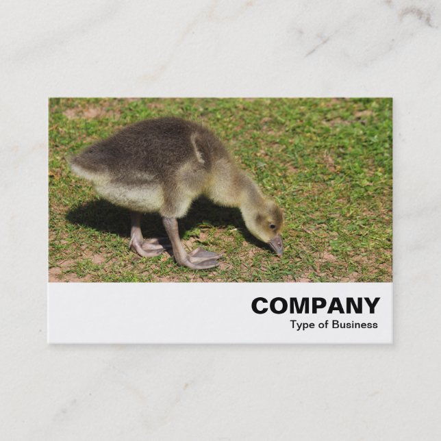 Carte De Visite Gosling (Devant)