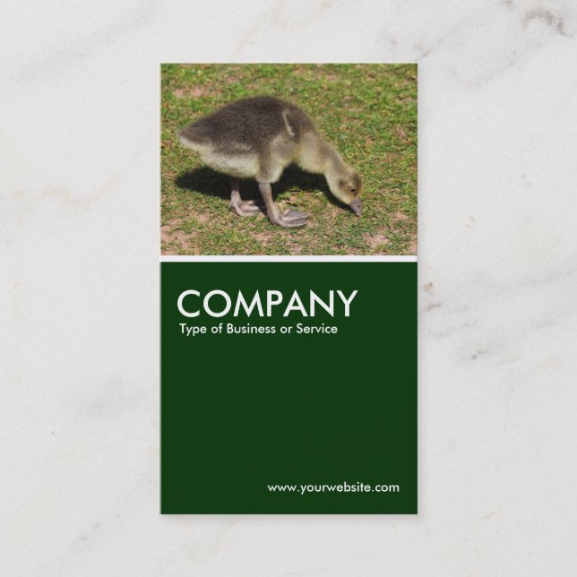 Carte De Visite Gosling - Vert foncé (Devant)