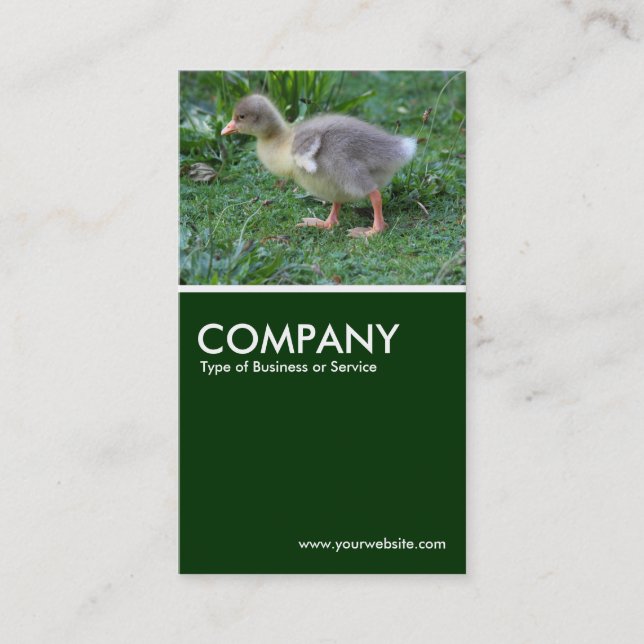 Carte De Visite Gosling - Vert foncé (Devant)