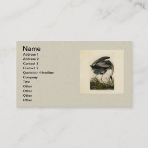 Carte De Visite Grand Héron bleu d'Audubon Marais Oiseau