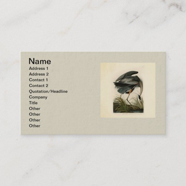 Carte De Visite Grand Héron bleu d'Audubon Marais Oiseau (Devant)