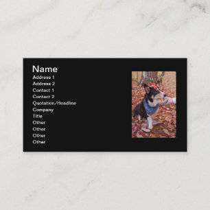 Carte De Visite Grand pour vous voir !