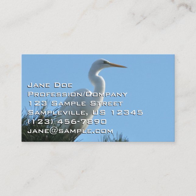 Carte De Visite Grande Aigrette en Floride ensoleillée (Devant)