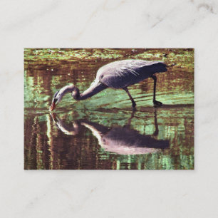 Carte De Visite Great Blue Heron Fishing ATC