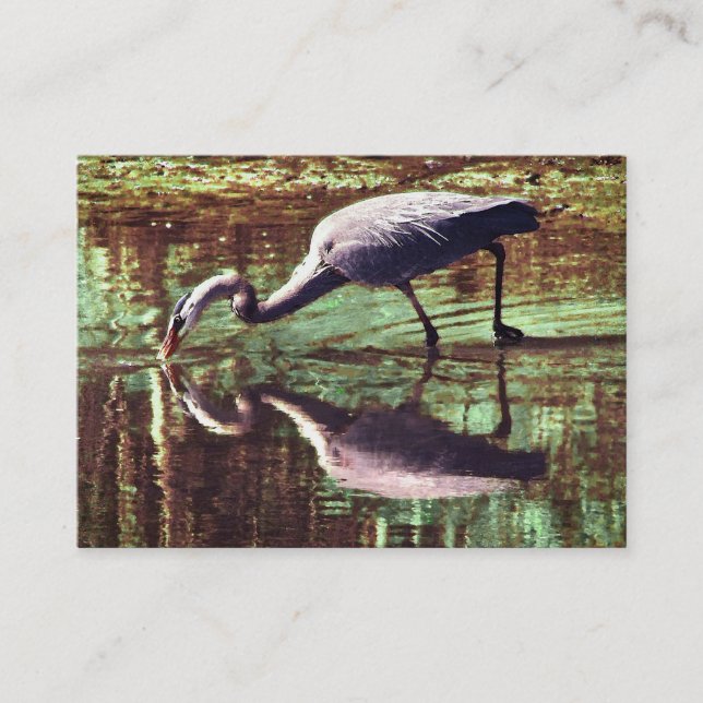 Carte De Visite Great Blue Heron Fishing ATC (Devant)