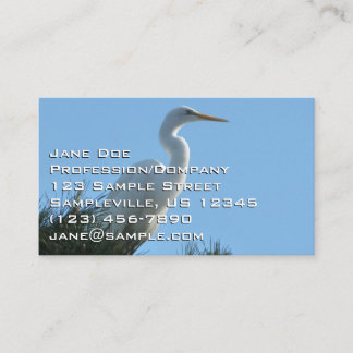 Carte De Visite Great Egret dans la Floride ensoleillée