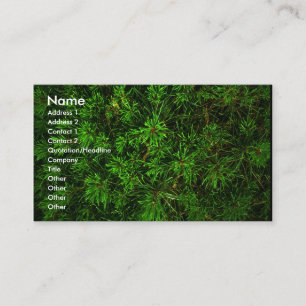 Carte De Visite green_card