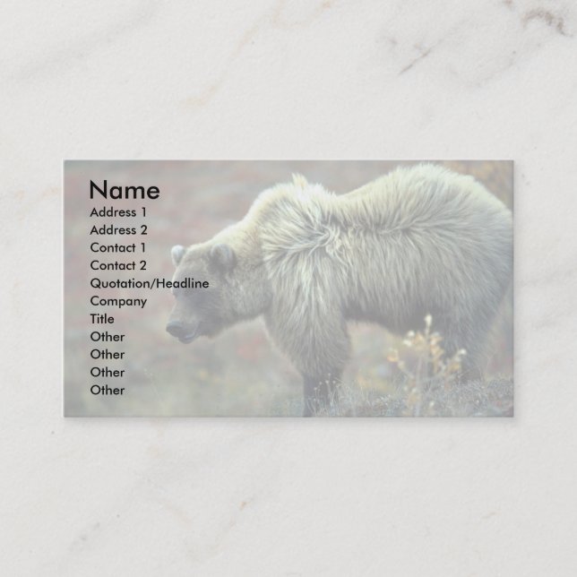 Carte De Visite Grizzly Bear (Devant)