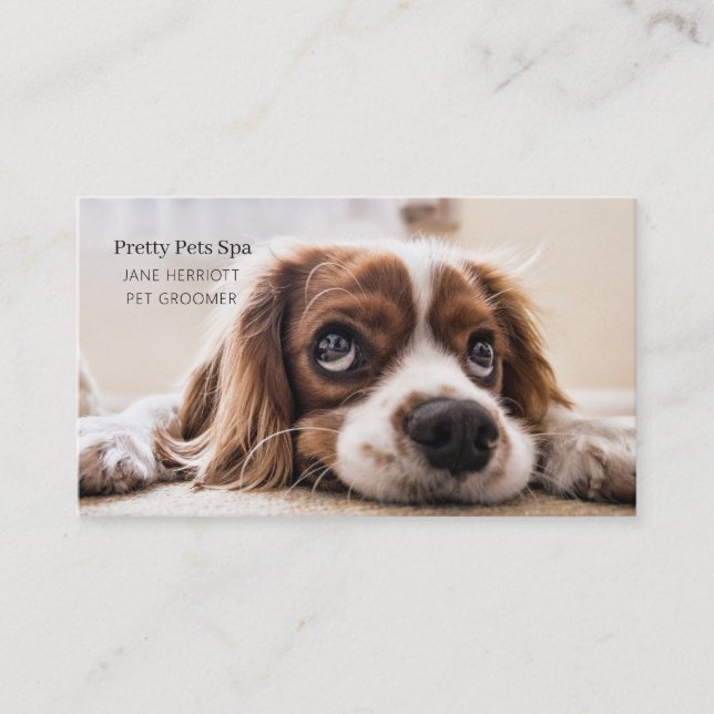 Carte De Visite Grooming (Devant)