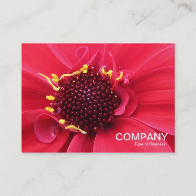 Carte De Visite Gros plan de Red Dahlia (Devant)