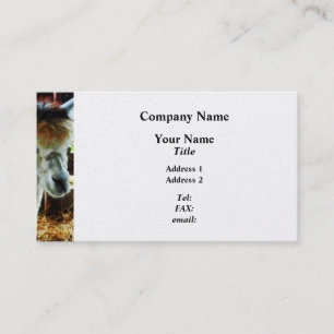 Carte De Visite Gros plan sur l'alpaca - Finition Platine