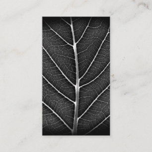 Carte De Visite Gros plan sur une feuille lumineuse noir et blanc