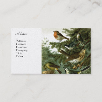 Carte De Visite Groupe 3 d'oiseau