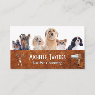 Carte De Visite Groupe de petits chiens   Outils de toilettage