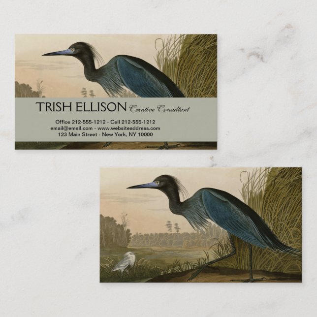 Carte De Visite Grue bleue Héron Impression Audubon Art côtier (Devant / Derrière)
