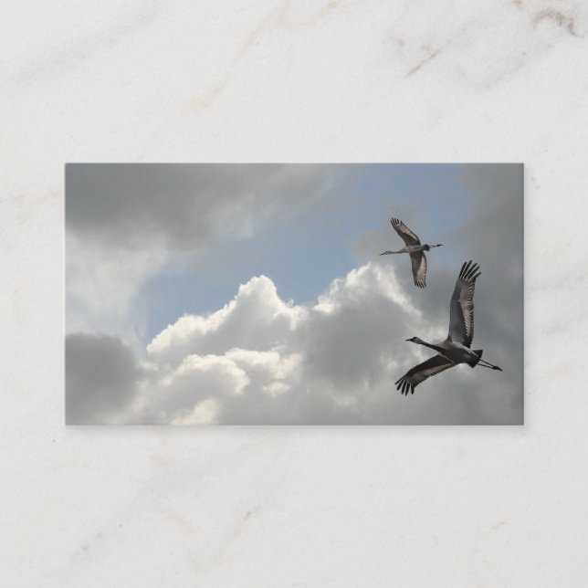 CARTE DE VISITE GRUES DE SANDHILL (Devant)