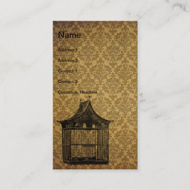 Carte De Visite Grunge vintage Bird Cage (Devant)