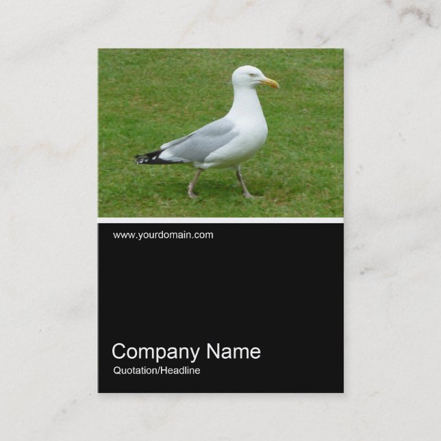 Carte De Visite Half&Half Photo 0156 - Mouette dans le parc (Devant)