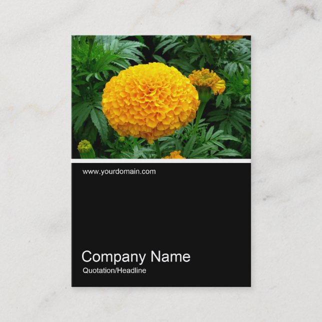 Carte De Visite Half&Half Photo 0163 - Orange Chrysanthemum (Devant)