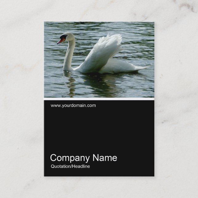 Carte De Visite Half&Half Photo 0224 - Swan (Devant)