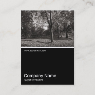 Carte De Visite Half&Half Photo 0267 - Automne dans le parc