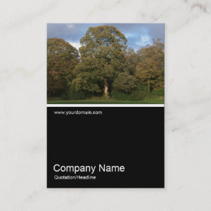 Carte De Visite Half&Half Photo 0276 - Automne dans le parc