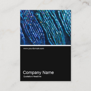 Carte De Visite Half&Half Photo 0279 - Tresses en perles