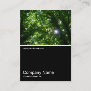 Carte De Visite Half&Half Photo 027 - Soleil dans les arbres