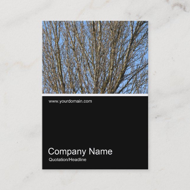 Carte De Visite Half&Half Photo 0297 - Branches illuminées (Devant)