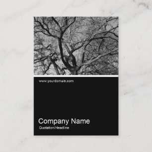 Carte De Visite Half&Half Photo 0305 - Arbre Magnolia