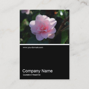 Carte De Visite Half&Half Photo 0311 - Camellia rose