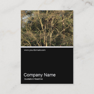 Carte De Visite Half&Half Photo 0312 - Branches d'or