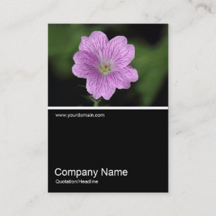 Carte De Visite Half&Half Photo 0325 - Geranium Endressii