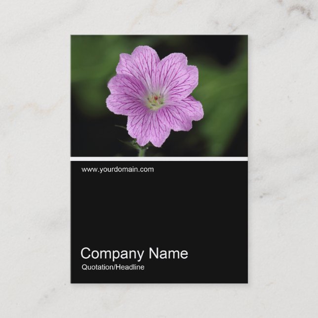 Carte De Visite Half&Half Photo 0325 - Geranium Endressii (Devant)