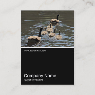 Carte De Visite Half&Half Photo 0326 - Oies du Canada avec des oie